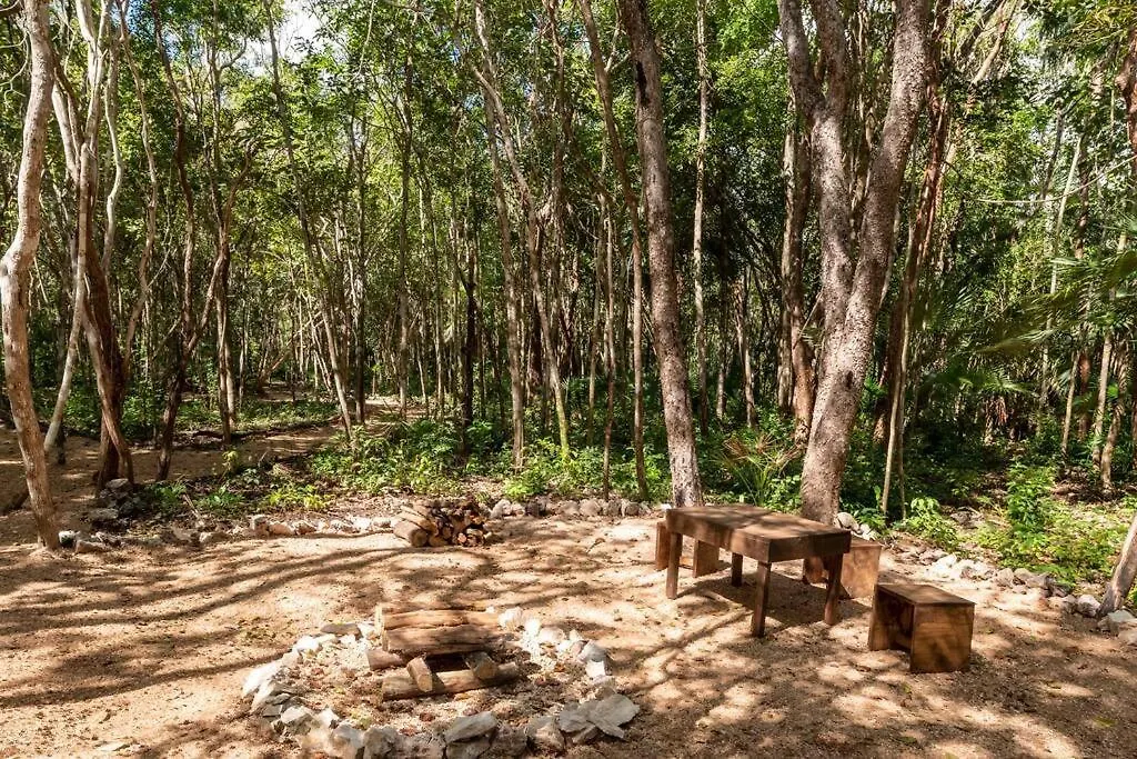 Luxury tent Zil-Kaab Hidden Glamping Village Tulum